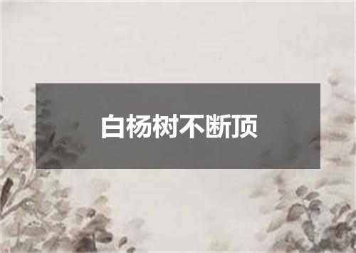 白杨树不断顶