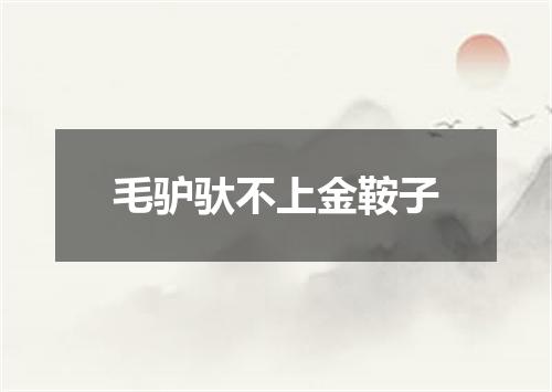 毛驴驮不上金鞍子
