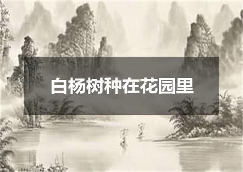 白杨树种在花园里