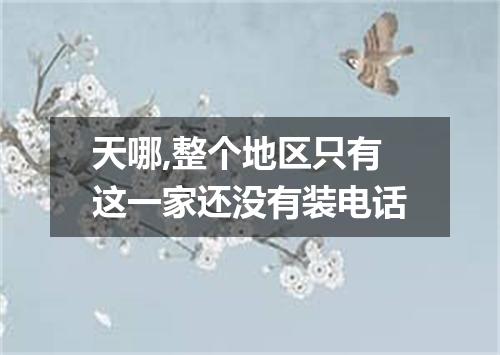 天哪,整个地区只有这一家还没有装电话