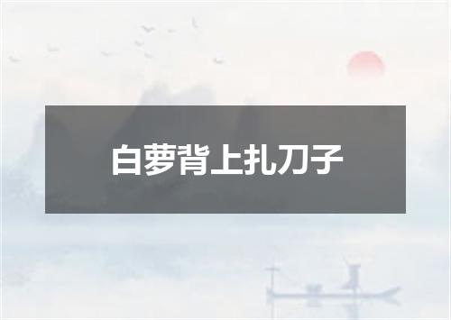 白萝背上扎刀子