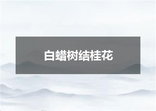 白蜡树结桂花