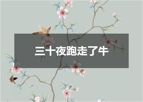 三十夜跑走了牛