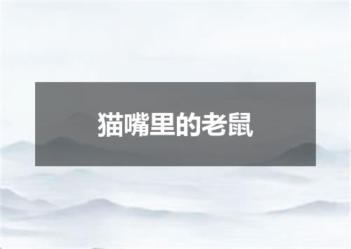 猫嘴里的老鼠