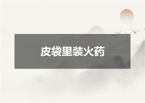 皮袋里装火药