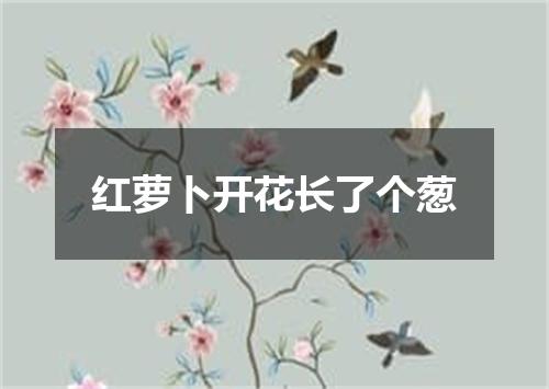 红萝卜开花长了个葱