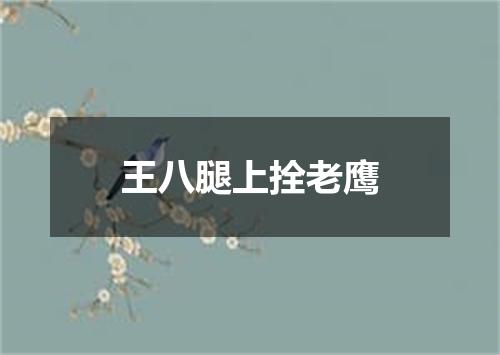 王八腿上拴老鹰
