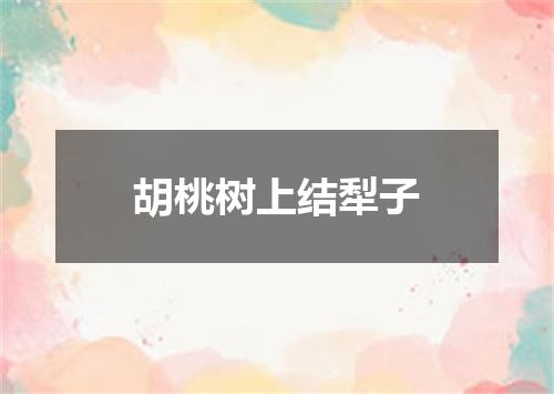 胡桃树上结犁子