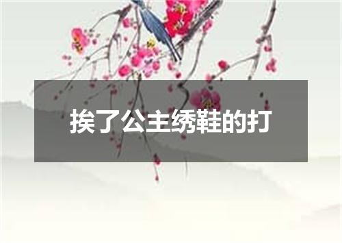 挨了公主绣鞋的打