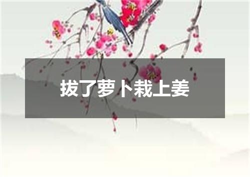 拔了萝卜栽上姜
