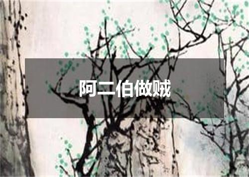阿二伯做贼