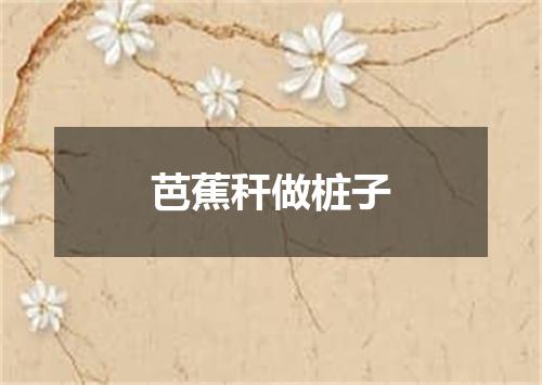 芭蕉秆做桩子