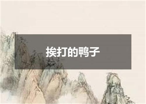 挨打的鸭子