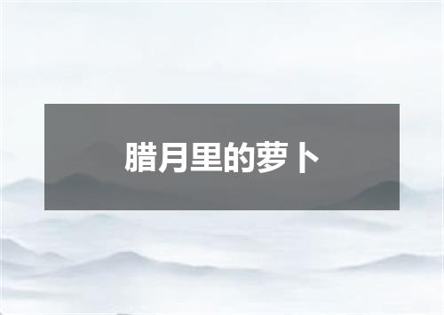 腊月里的萝卜