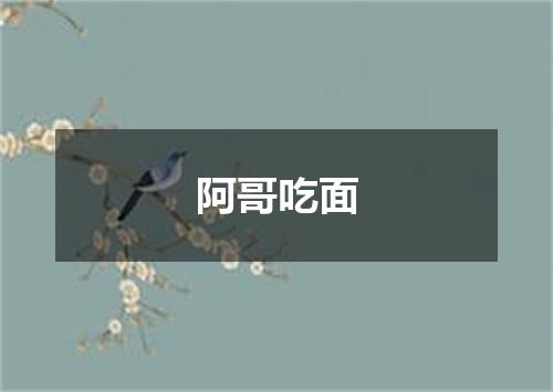 阿哥吃面