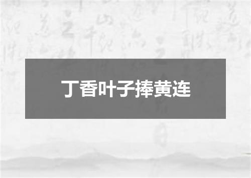 丁香叶子捧黄连