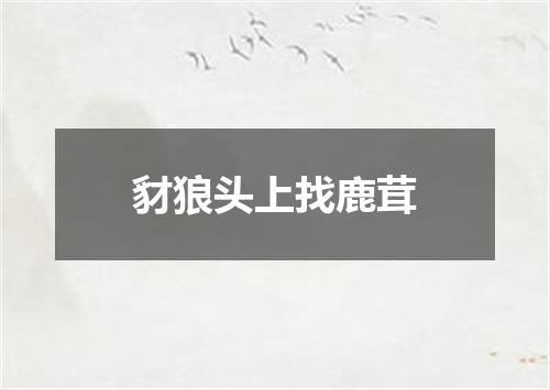 豺狼头上找鹿茸