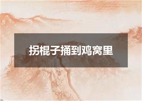 拐棍子捅到鸡窝里