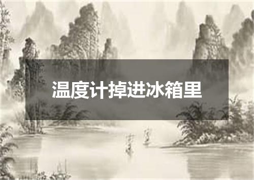 温度计掉进冰箱里