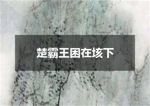 楚霸王困在垓下