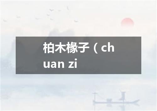 柏木椽子（chuan zi
