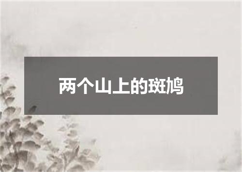 两个山上的斑鸠