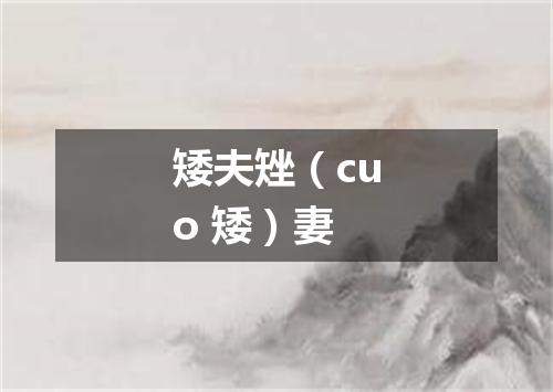 矮夫矬（cuo 矮）妻