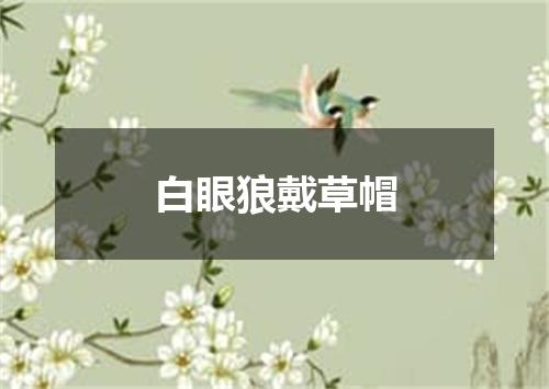 白眼狼戴草帽