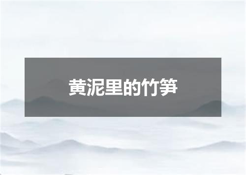 黄泥里的竹笋