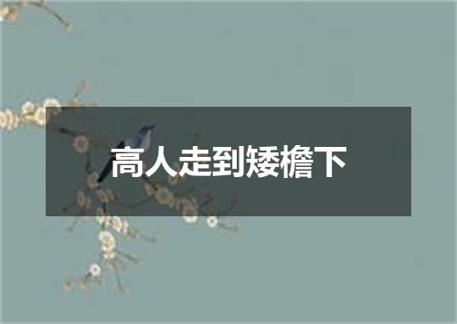 高人走到矮檐下