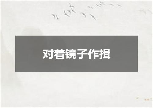 对着镜子作揖