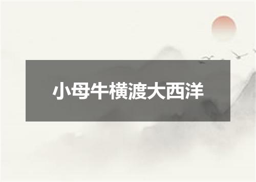 小母牛横渡大西洋
