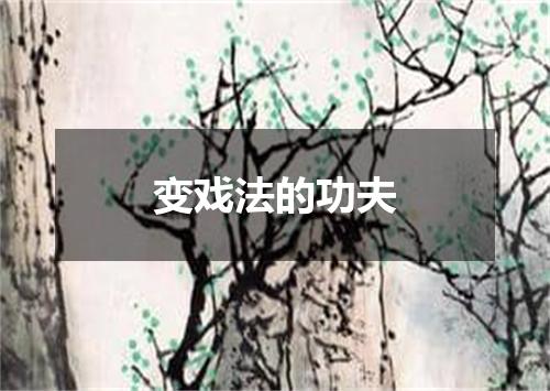变戏法的功夫