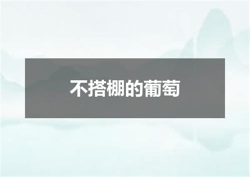 不搭棚的葡萄