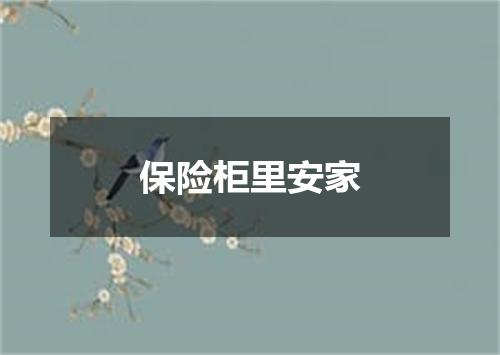 保险柜里安家