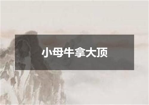 小母牛拿大顶