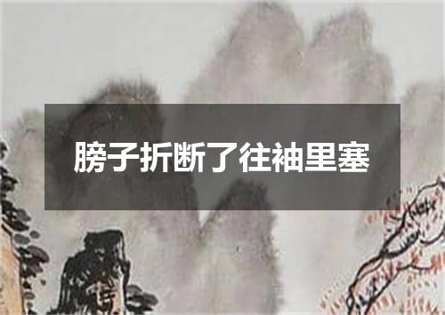 膀子折断了往袖里塞