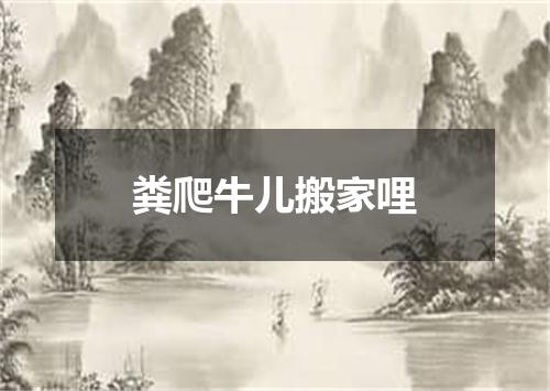 粪爬牛儿搬家哩