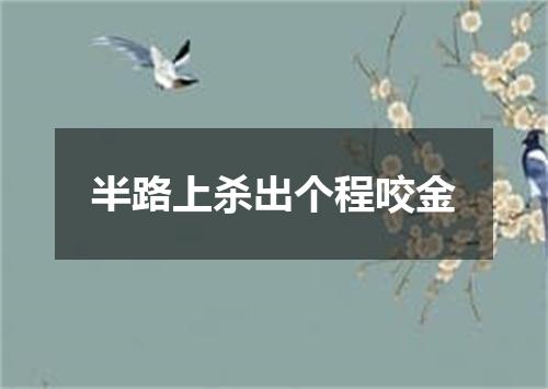 半路上杀出个程咬金