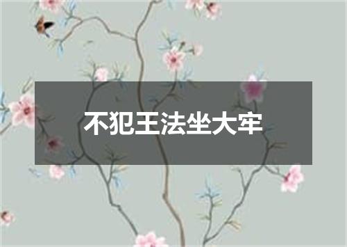 不犯王法坐大牢