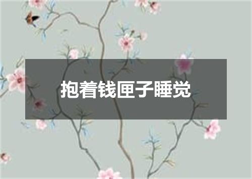 抱着钱匣子睡觉