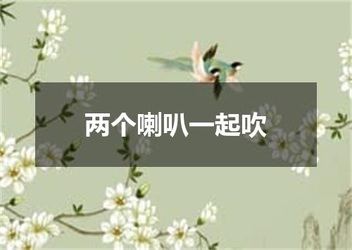 两个喇叭一起吹