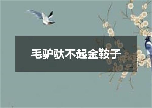 毛驴驮不起金鞍子
