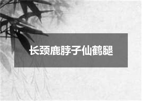 长颈鹿脖子仙鹤腿