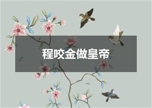 程咬金做皇帝