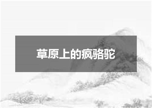 草原上的疯骆驼