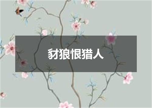 豺狼恨猎人