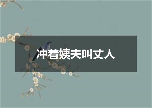 冲着姨夫叫丈人