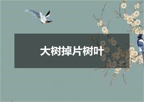 大树掉片树叶