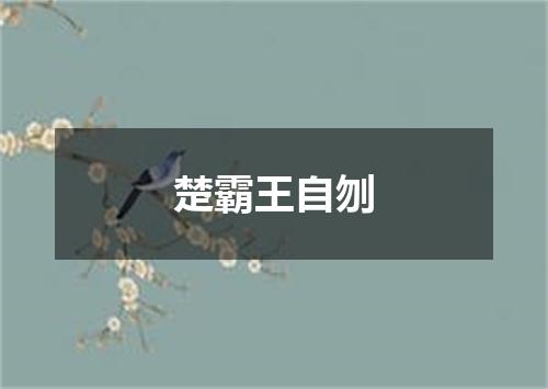 楚霸王自刎